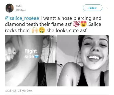 Salice rose fans only